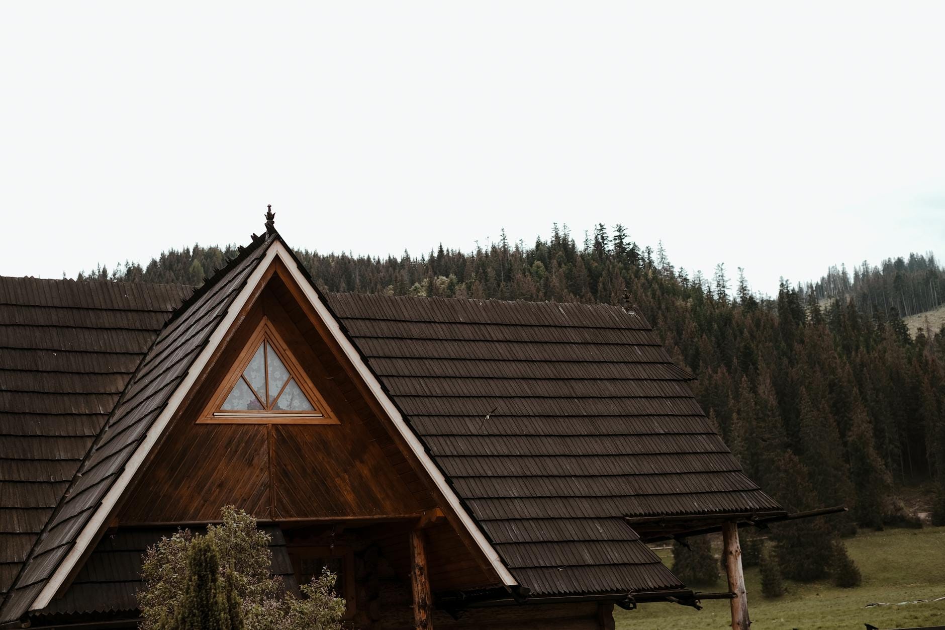 Drewniana chatka wśród zielonego lasu w okolicach Zakopanego