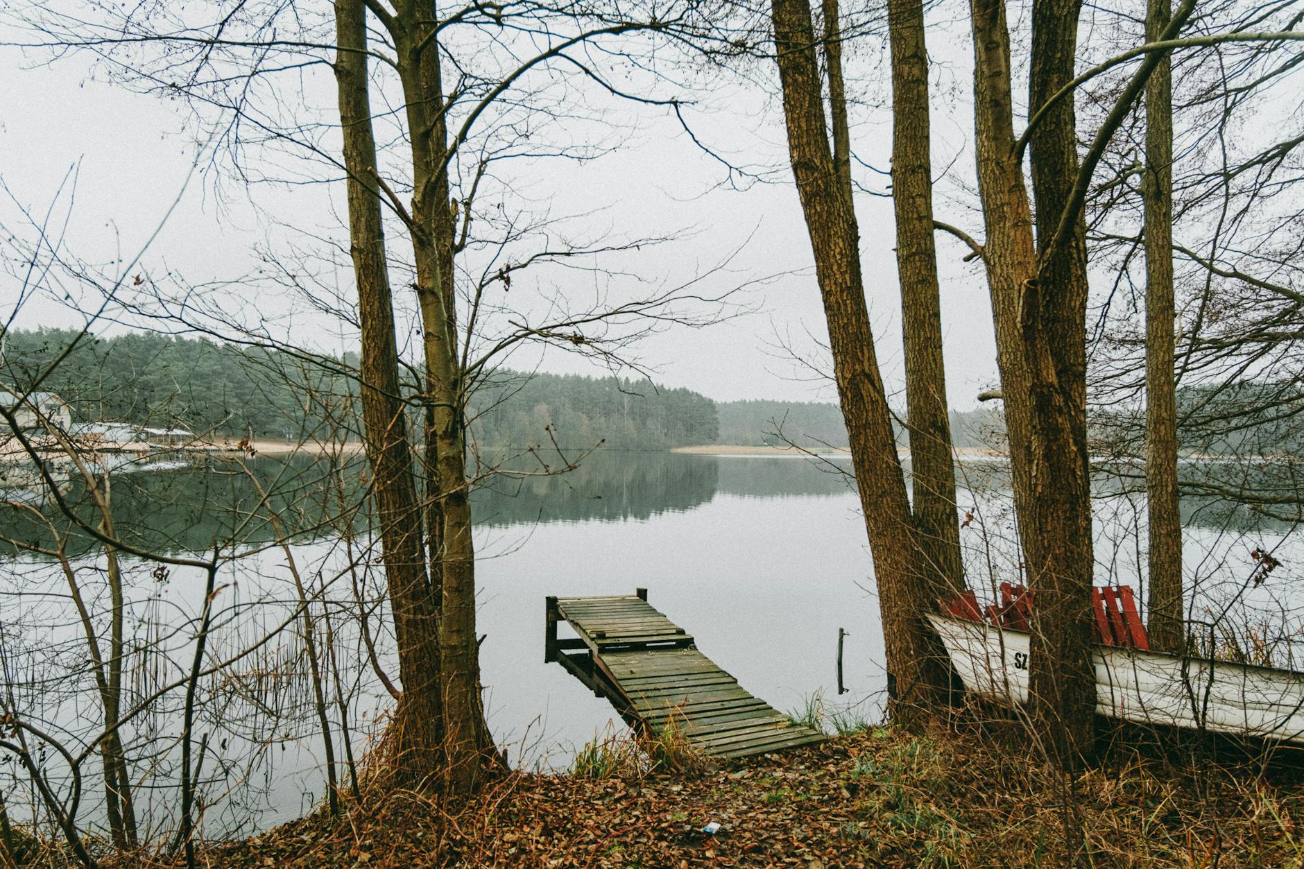 Weekend w Polsce: pomysły na krótkie wyjazdy blisko natury Pomost nad jeziorem z łódką wśród drzew w Ocypelu