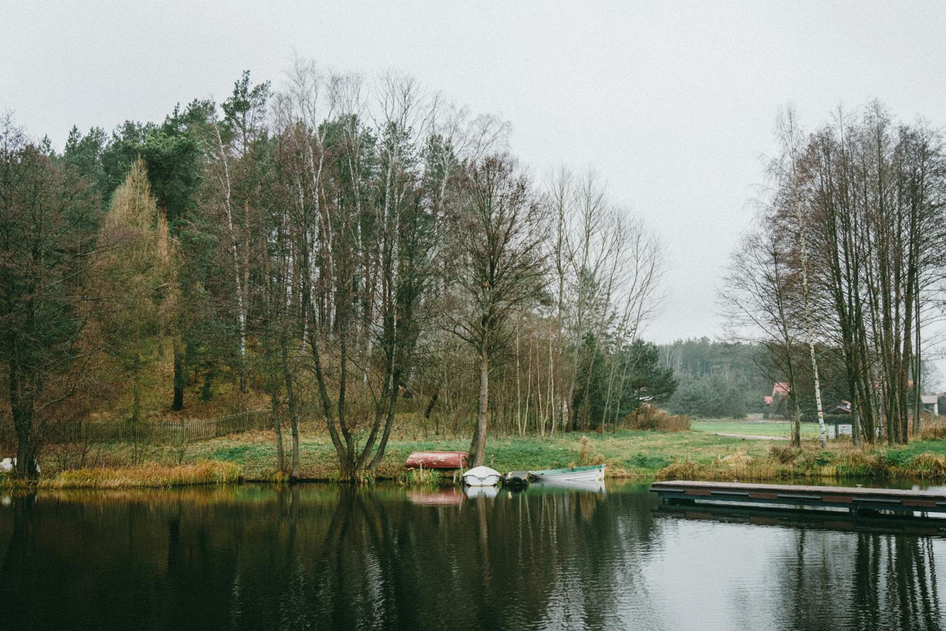 Spokojne jezioro z zacumowanymi łódkami w otoczeniu drzew w Polsce