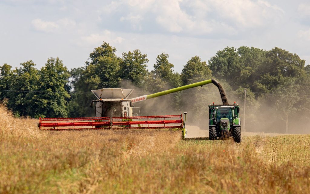 Egzekucja alimentów – jakie uprawnienia ma komornik przy długu alimentacyjnym?
