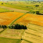 Egzekucja alimentów – jakie uprawnienia ma komornik przy długu alimentacyjnym?