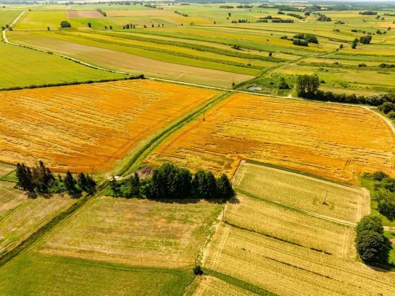 Egzekucja alimentów – jakie uprawnienia ma komornik przy długu alimentacyjnym?