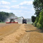 Egzekucja alimentów – jakie uprawnienia ma komornik przy długu alimentacyjnym?