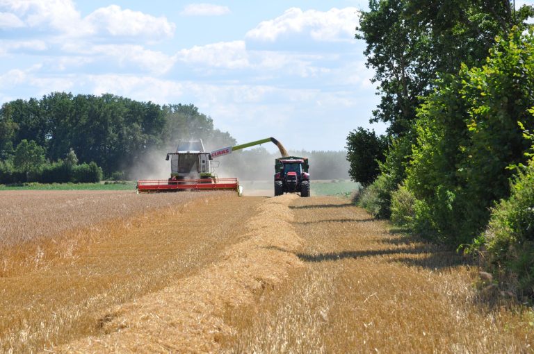 Egzekucja alimentów – jakie uprawnienia ma komornik przy długu alimentacyjnym?